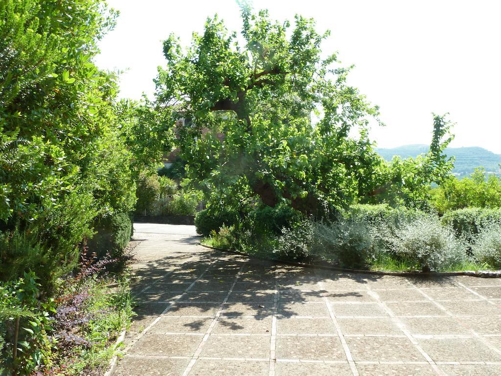 Agriturismo La Vecchia Quercia San Cipriano Picentino Pokój zdjęcie