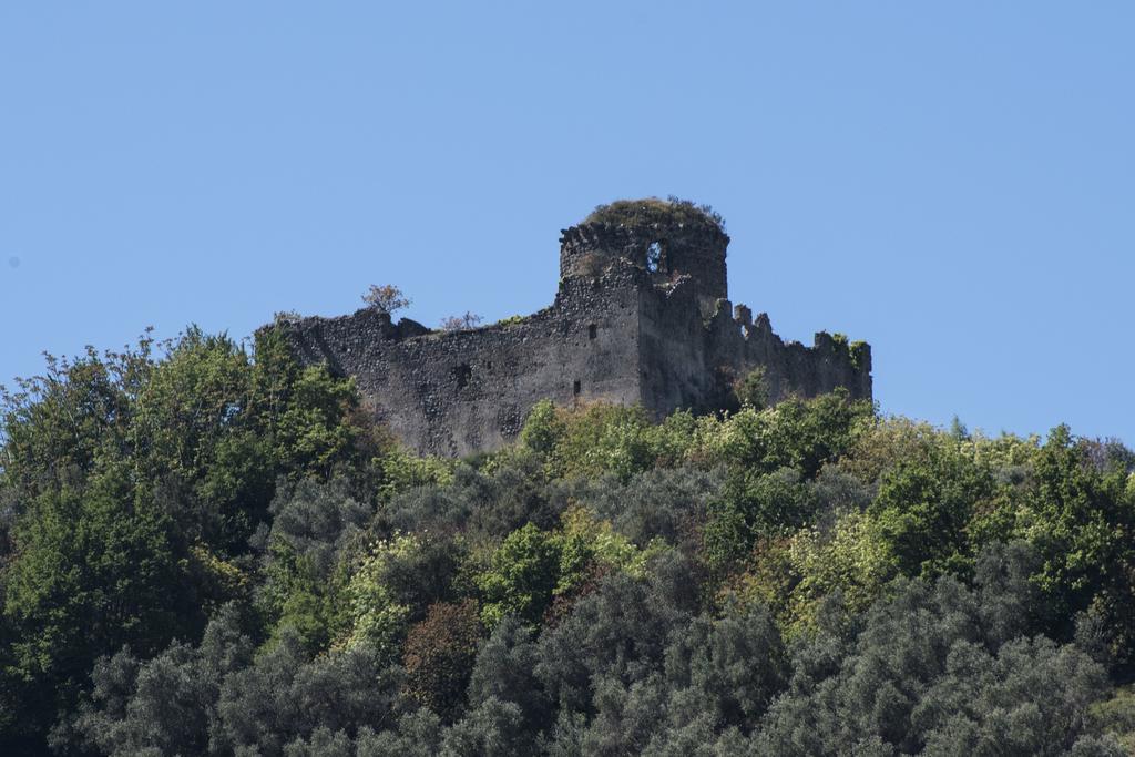 Agriturismo La Vecchia Quercia San Cipriano Picentino Zewnętrze zdjęcie